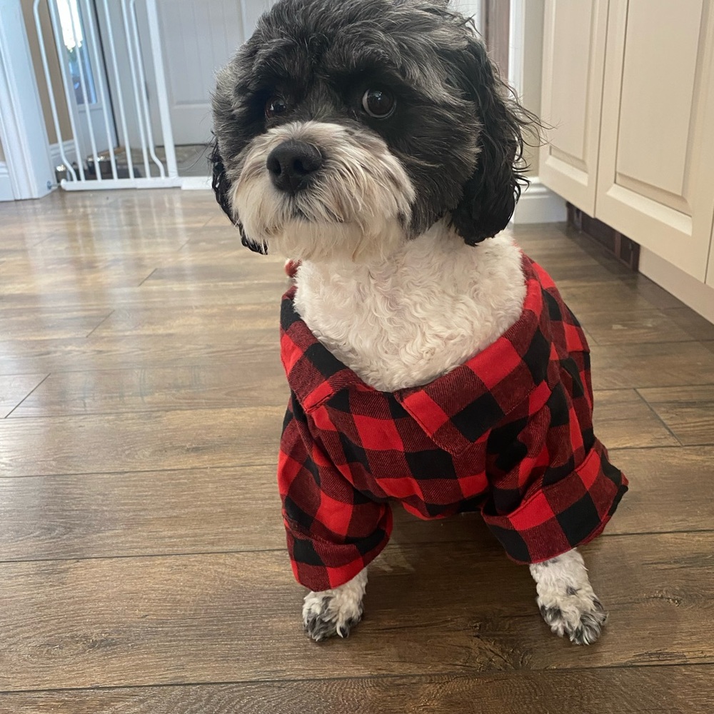Black & Red Flannel Shirt - Picture 3 of 6